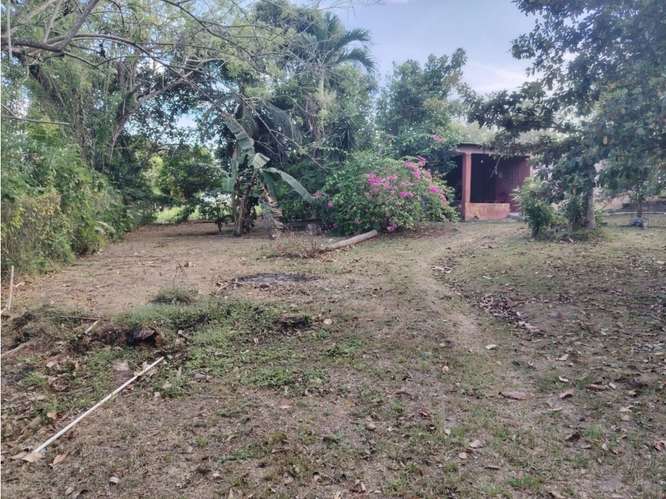SE VENDE TERRENO 1021M EN COCLE RIO HATO  CON CASA Y ZONAS VERDES - Imagen 20