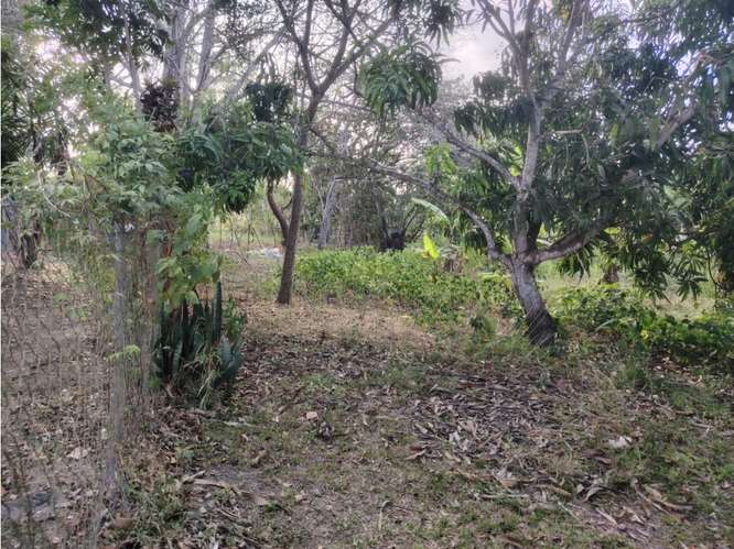 COCLE / RIO HATO / 1021 M2 / TERRENO / CON CASA / ZONAS VERDES