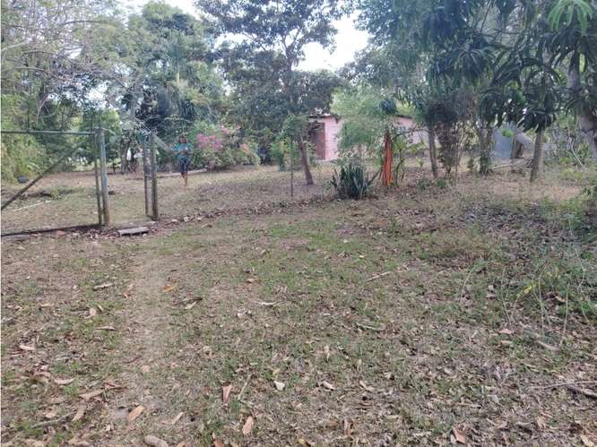 COCLE / RIO HATO / 1021 M2 / TERRENO / CON CASA / ZONAS VERDES