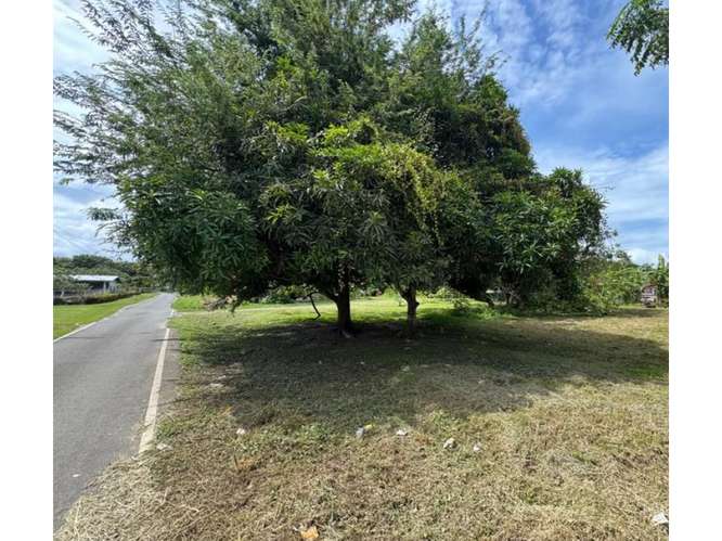 SE VENDE TERRENO 600 M2 EN CHAME NUEVA GORGONA SOBRE VIA ASFALTADA - Imagen 10