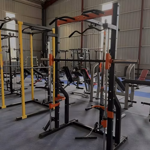 Haula de poleas y enttenamiento con discos full body  - Imagen 3