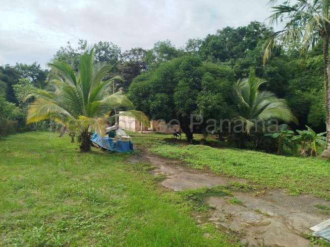 VENTA DE TERRENO EN ARRAIJAN – TERRENO - Imagen 2