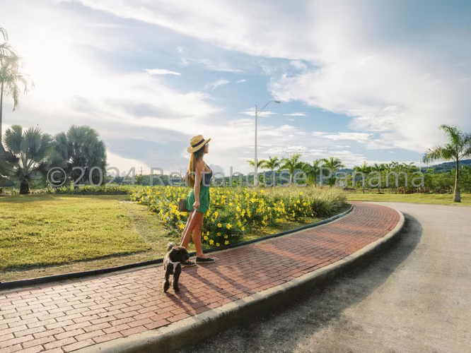 VENTA DE TERRENO EN PANAMA NORTE – GREEN VALLEY PANAMA - Imagen 7