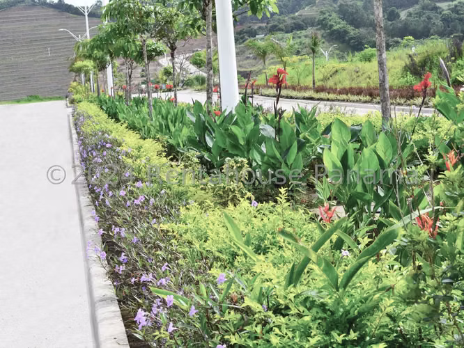 VENTA DE TERRENO EN PANAMA NORTE – GREEN VALLEY PANAMA - Imagen 3