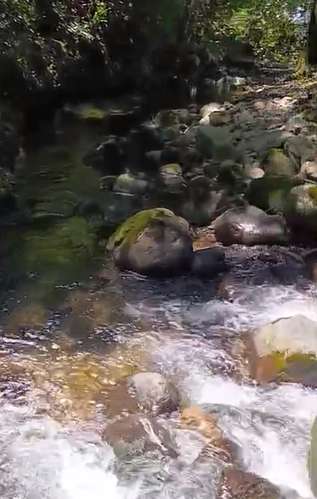$1,700,000 SE VENDEN 22 HECTAREAS + 251 MTS2 EN DOLEGA PROVINCIA DE CHIRIQUI - Imagen 11