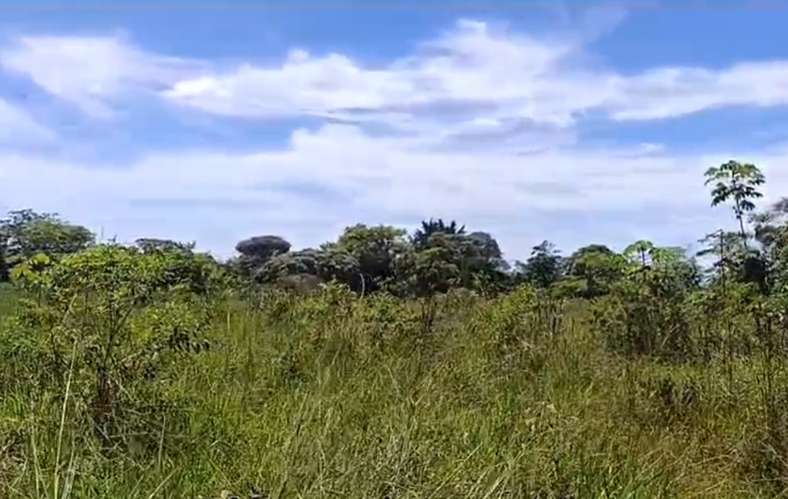 $1,700,000 SE VENDEN 22 HECTAREAS + 251 MTS2 EN DOLEGA PROVINCIA DE CHIRIQUI