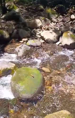 $1,700,000 SE VENDEN 22 HECTAREAS + 251 MTS2 EN DOLEGA PROVINCIA DE CHIRIQUI - Imagen 4
