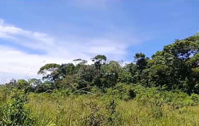 $1,700,000 SE VENDEN 22 HECTAREAS + 251 MTS2 EN DOLEGA PROVINCIA DE CHIRIQUI - Imagen 2