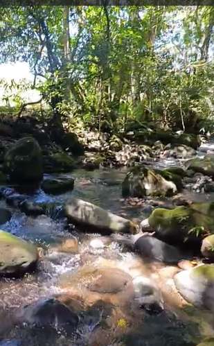 $1,700,000 SE VENDEN 22 HECTAREAS + 251 MTS2 EN DOLEGA PROVINCIA DE CHIRIQUI - Imagen 5