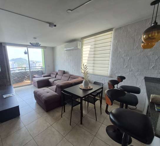 Alquiler Ph Green Park Vista a las Montañas Dos Recamaras Balcon Asocial - Imagen 12