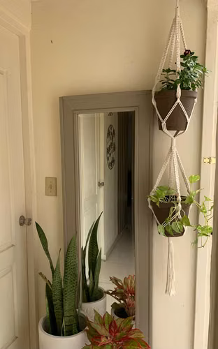 LLEVA TUS PLANTAS A OTRO NIVEL - PORTA MACETEROS ÚNICOS CÓMO TUS PLANTAS  - Imagen 2