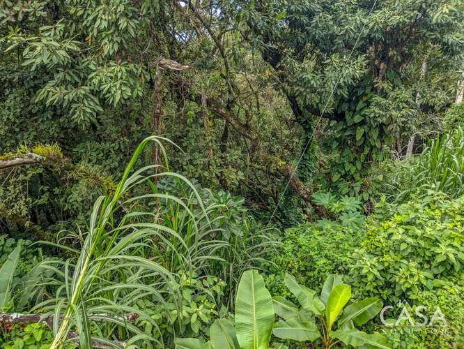 Terreno de 2,000 m² con Vista a las Montañas en Venta en Volcancito, Boquete - Imagen 11