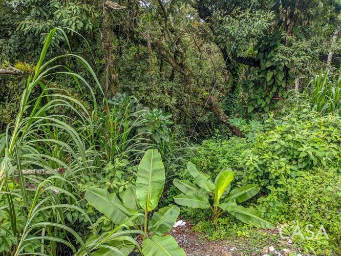 Terreno de 2,000 m² con Vista a las Montañas en Venta en Volcancito, Boquete - Imagen 6
