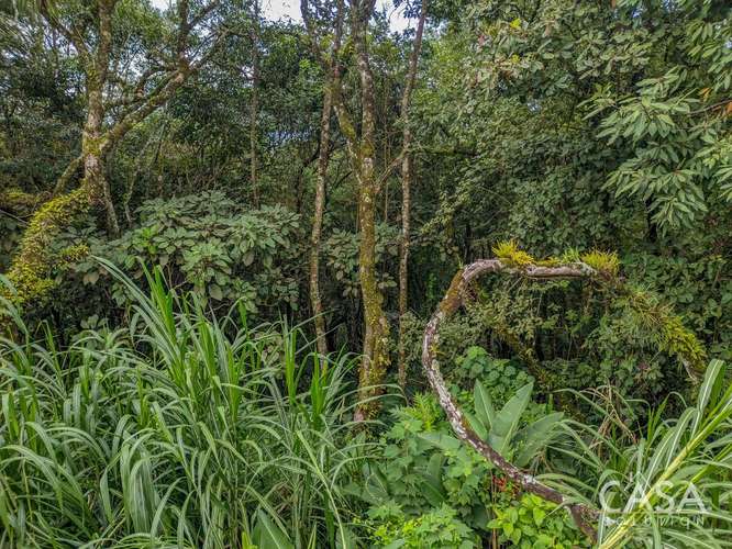Terreno de 2,000 m² con Vista a las Montañas en Venta en Volcancito, Boquete - Imagen 9