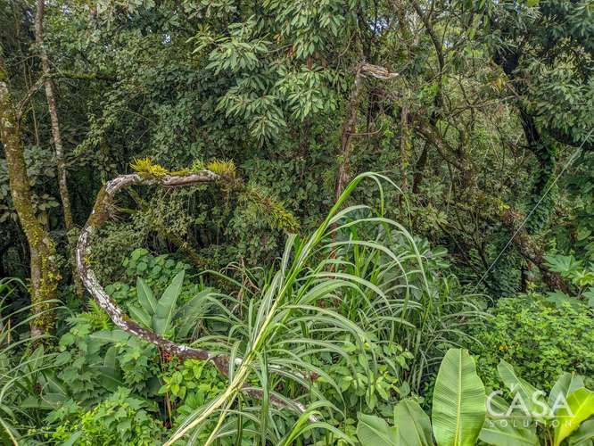 Terreno de 2,000 m² con Vista a las Montañas en Venta en Volcancito, Boquete - Imagen 10