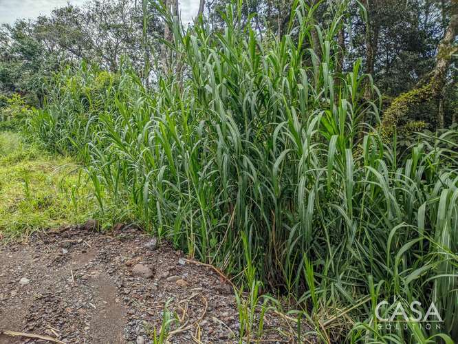 Terreno de 2,000 m² con Vista a las Montañas en Venta en Volcancito, Boquete - Imagen 4