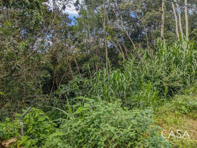 Terreno de 2,000 m² con Vista a las Montañas en Venta en Volcancito, Boquete - Imagen 13
