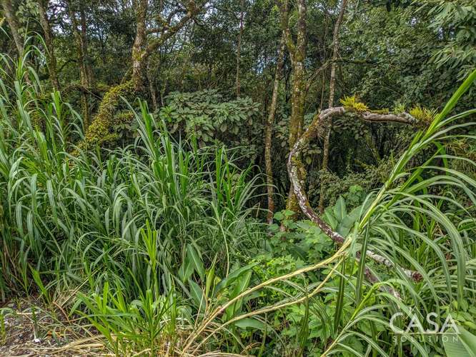 Terreno de 2,000 m² con Vista a las Montañas en Venta en Volcancito, Boquete - Imagen 7