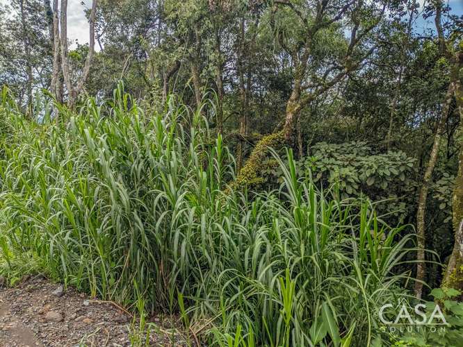 Terreno de 2,000 m² con Vista a las Montañas en Venta en Volcancito, Boquete - Imagen 8