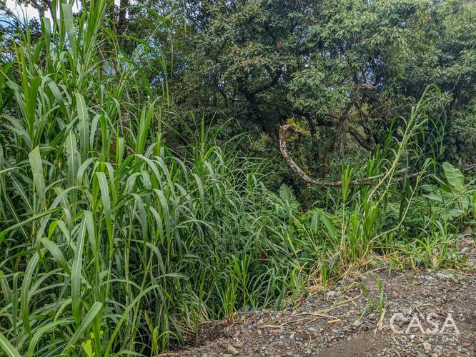 Terreno de 2,000 m² con Vista a las Montañas en Venta en Volcancito, Boquete - Imagen 5