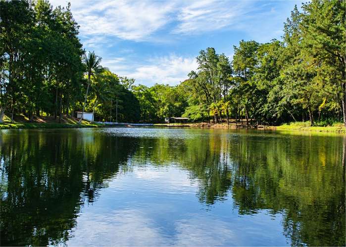 Finca en venta en La Chorrera 150 hectáreas - Imagen 5