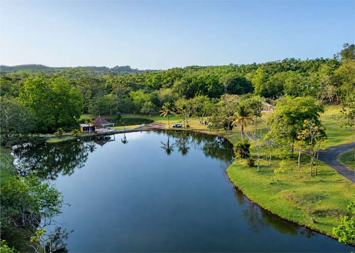 Finca en venta en La Chorrera 150 hectáreas - Imagen 6