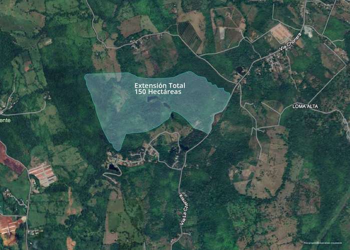 Finca en venta en La Chorrera 150 hectáreas - Imagen 7