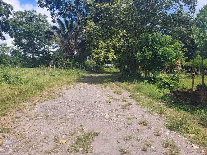 SE VENDE TERRENO EN CHIRIQUI  ALANJE EL TEJAR