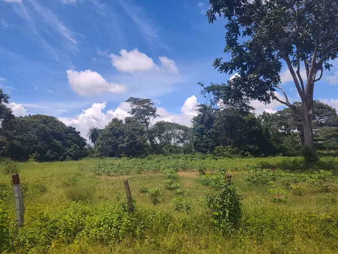 SE VENDE TERRENO EN CHIRIQUI  ALANJE EL TEJAR