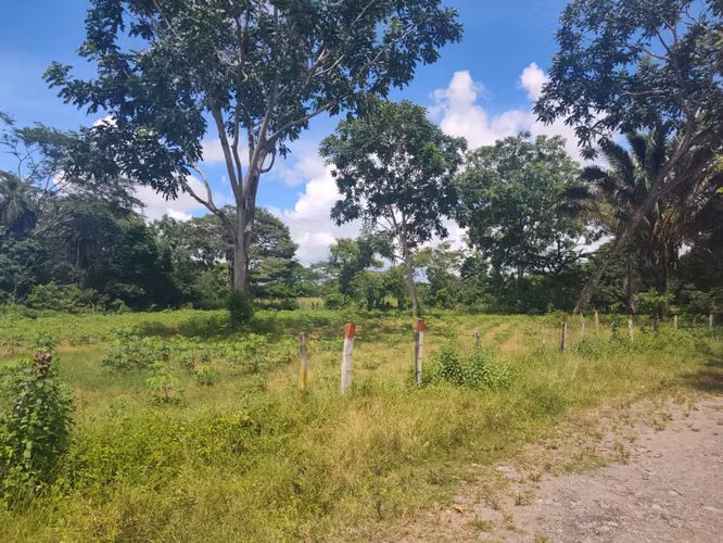 SE VENDE TERRENO EN CHIRIQUI  ALANJE EL TEJAR