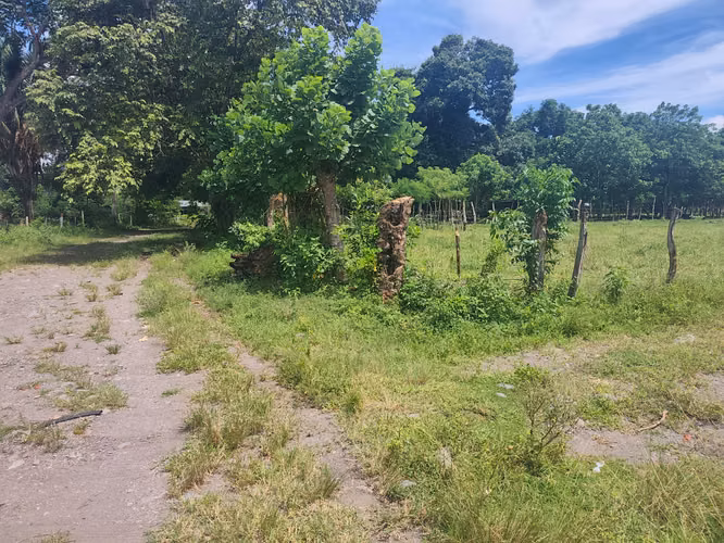 SE VENDE TERRENO EN CHIRIQUI  ALANJE EL TEJAR