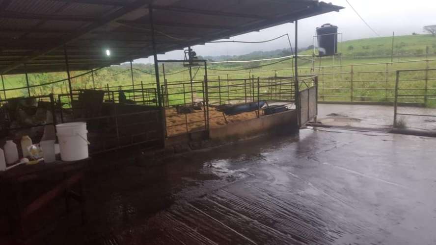 TERRENO EN SANTIAGO DE VERAGUAS - Imagen 4
