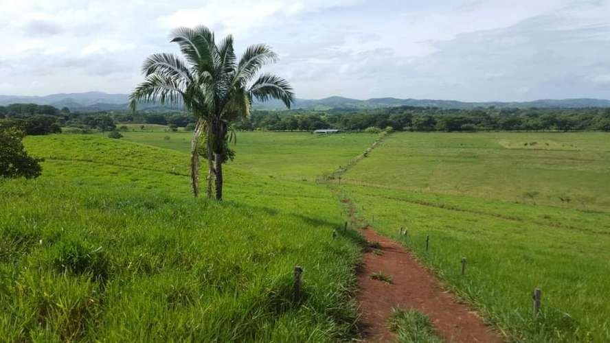 TERRENO EN SANTIAGO DE VERAGUAS - Imagen 11