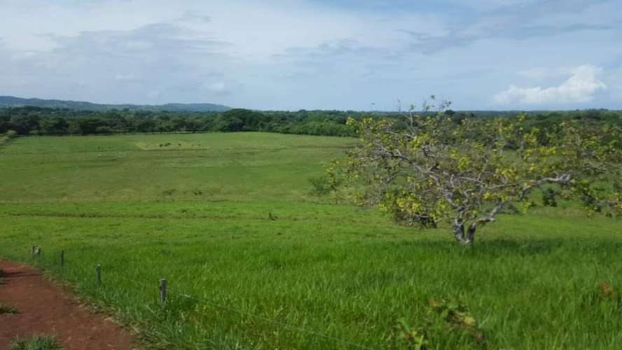 TERRENO EN SANTIAGO DE VERAGUAS - Imagen 14