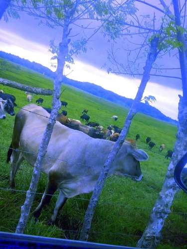 TERRENO EN SANTIAGO DE VERAGUAS - Imagen 18
