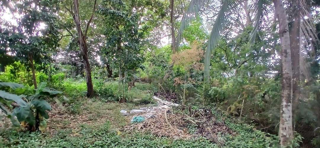 271746. Se vende casa 257m de construcción y 558m de terreno, 3 recámaras, 2 baños