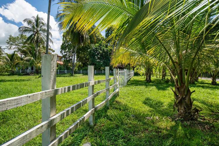 Terreno privilegiado en Las Lajas, Panamá