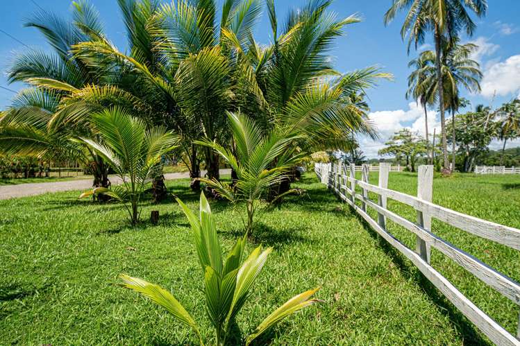 Terreno privilegiado en Las Lajas, Panamá