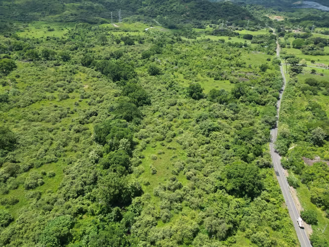 Venta de Terreno en Bejuco, Chame, 3.5 hectáreas - Imagen 4