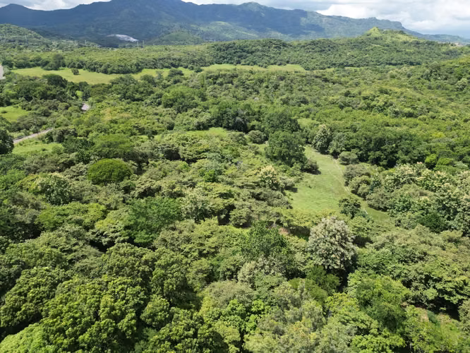 Venta de Terreno en Bejuco, Chame, 7 hectáreas - Imagen 10