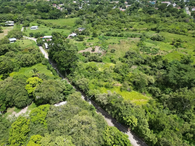 Venta de Terreno en Bejuco, Chame, 7 hectáreas - Imagen 9
