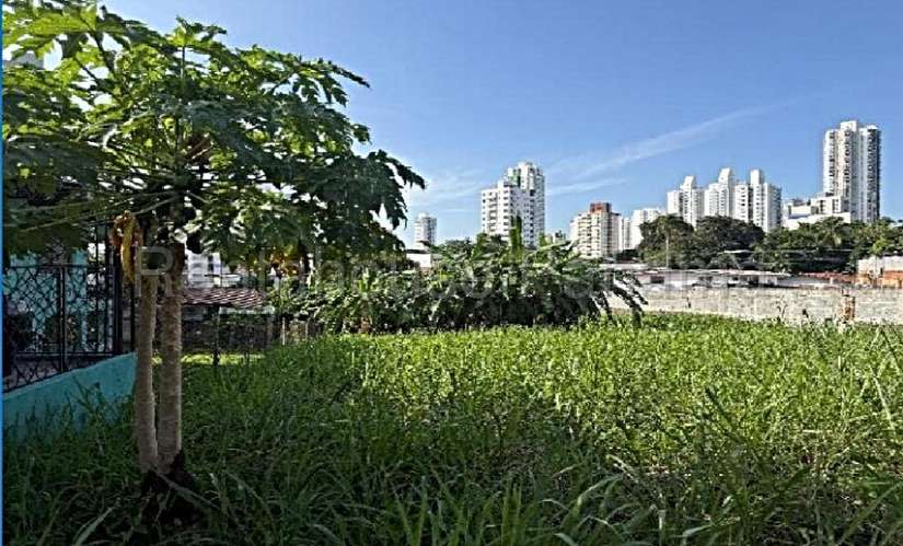 Terreno en Venta en Carrasquilla. 27-2820. - Imagen 9