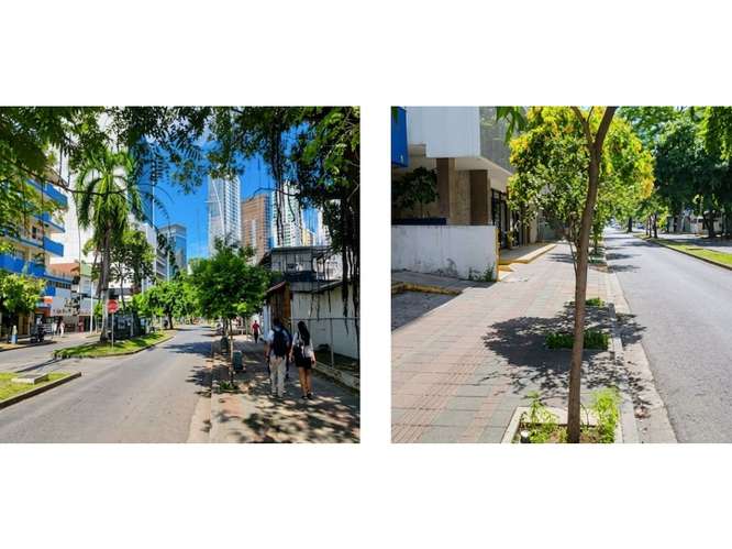 SE VENDE EDIFICIO VIA ARGENTINA ROI 10%  781 Mtrs (OG)