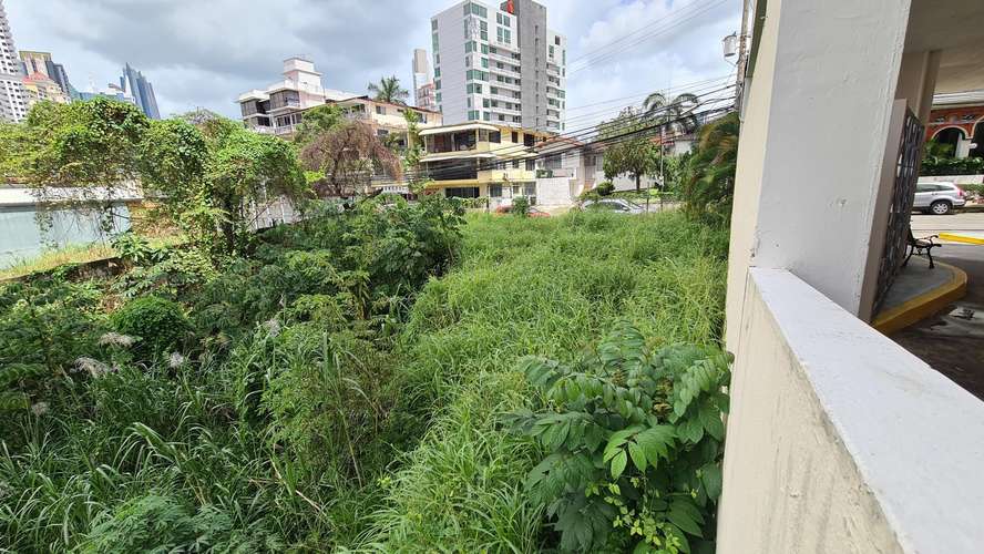 RR VENTA DE TERRENO EN EL CANGREJO LOTE D - Imagen 5