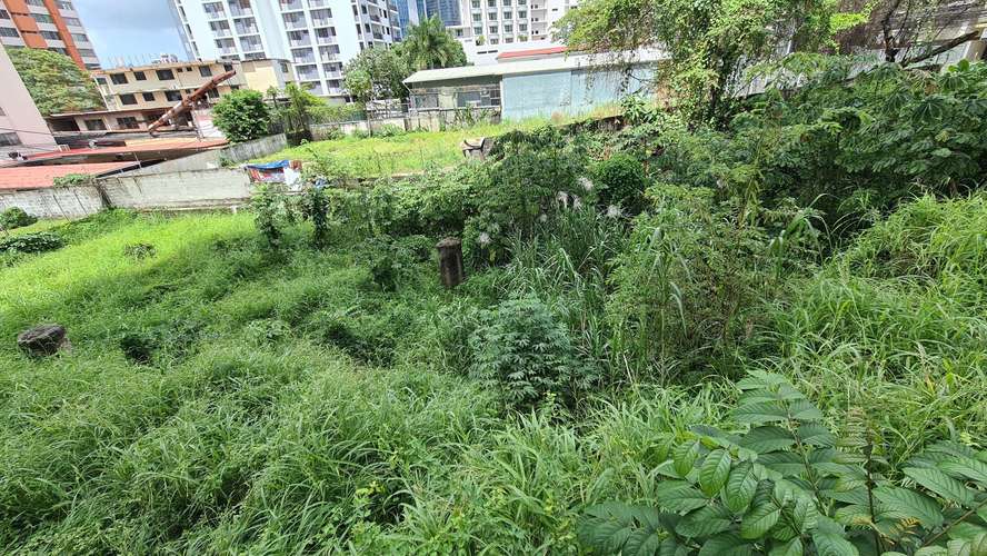 RR VENTA DE TERRENO EN EL CANGREJO LOTE D - Imagen 6