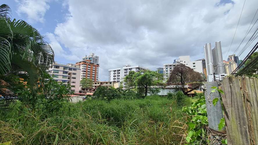 RR VENTA DE TERRENO EN EL CANGREJO LOTE D - Imagen 2