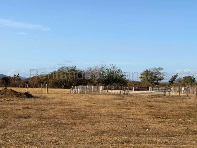 Terreno en Venta en Penonome JG - Imagen 3