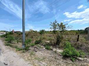 Rio Hato. Terreno enfrente a la interamericana 13699mts $958,900.00neg - Imagen 3
