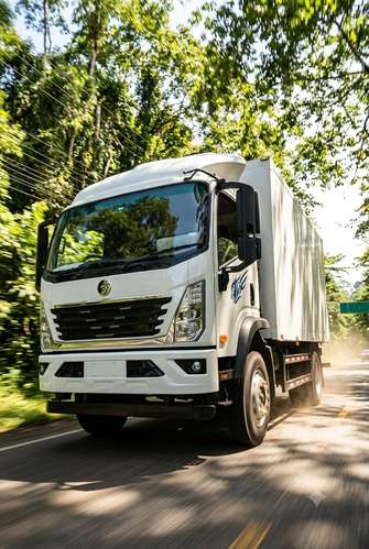 CDW (Sinotruk) FURGÓN CERRADO 4x2 de 7-8T