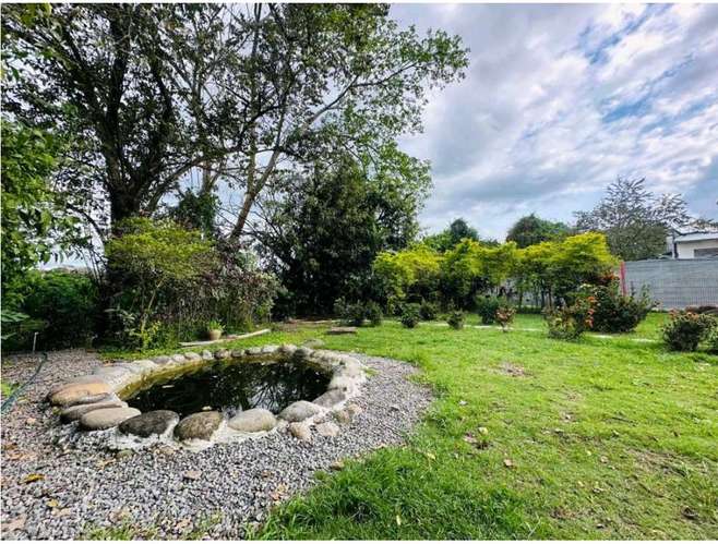 VENTA CASA CHIRIQUI 700M2 DE TERRENO 3HAB VILLA D-DAVID - Imagen 13